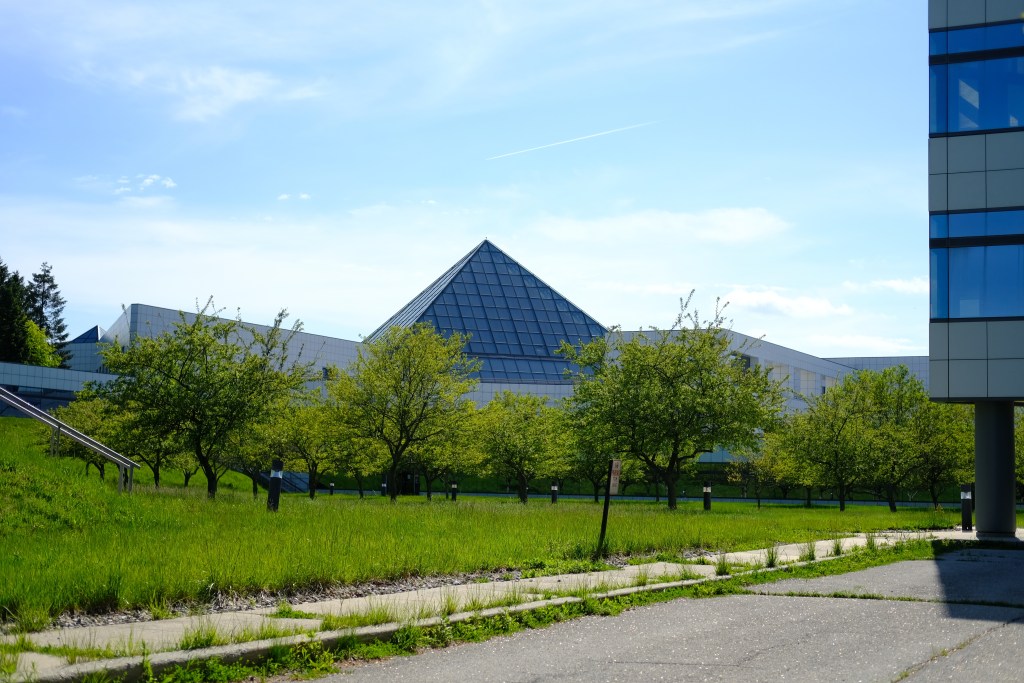 Has the Old David Become the New&nbsp;Goliath?