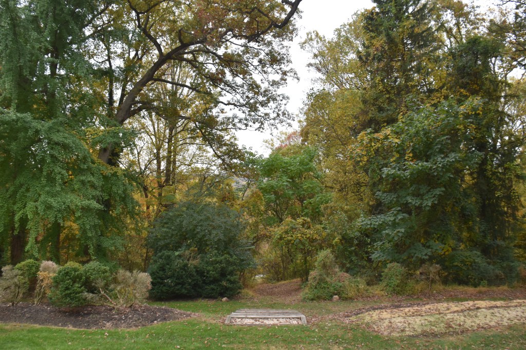 Emerald and Gold, Honey and&nbsp;Stone