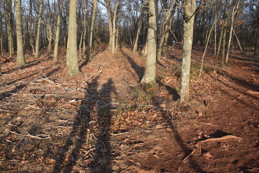 Classmates, Lovers, Strangers